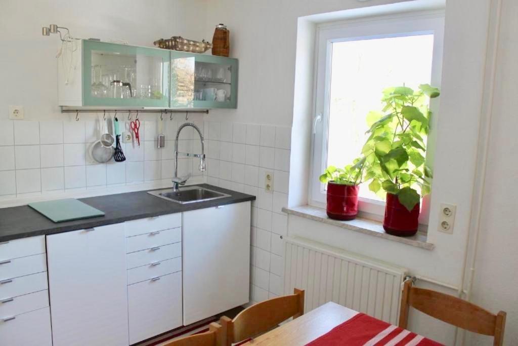 Apartamento Zollhaus 26 Hohegeiß Exterior foto